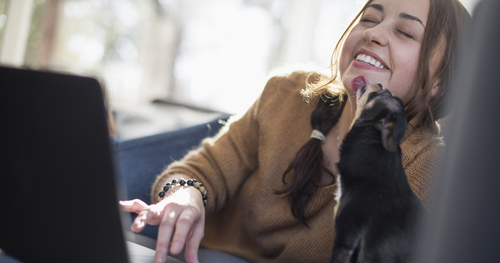 CloserStill Media’s “Vet Show @ Home” Wows Veterinary Community